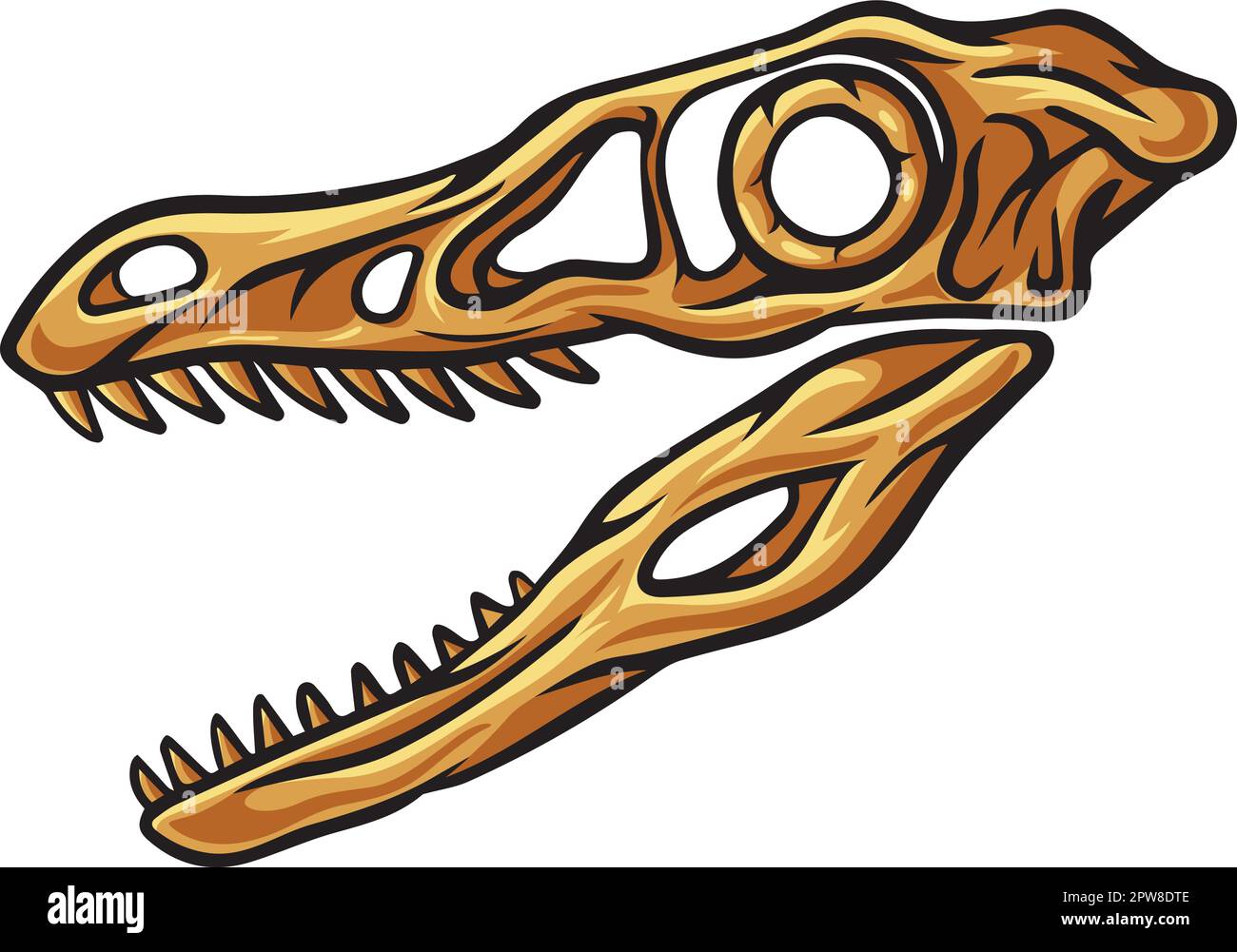 Velociraptor dinosaur skull fossil Stock Vector
