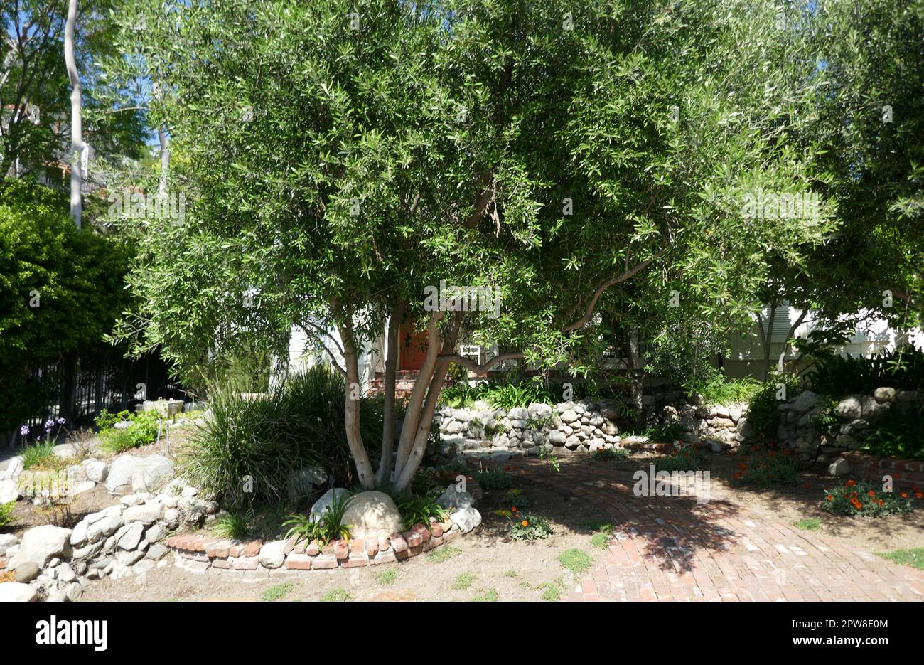 Los Angeles, California, USA 28th April 2023 Actor Brad Pitt and