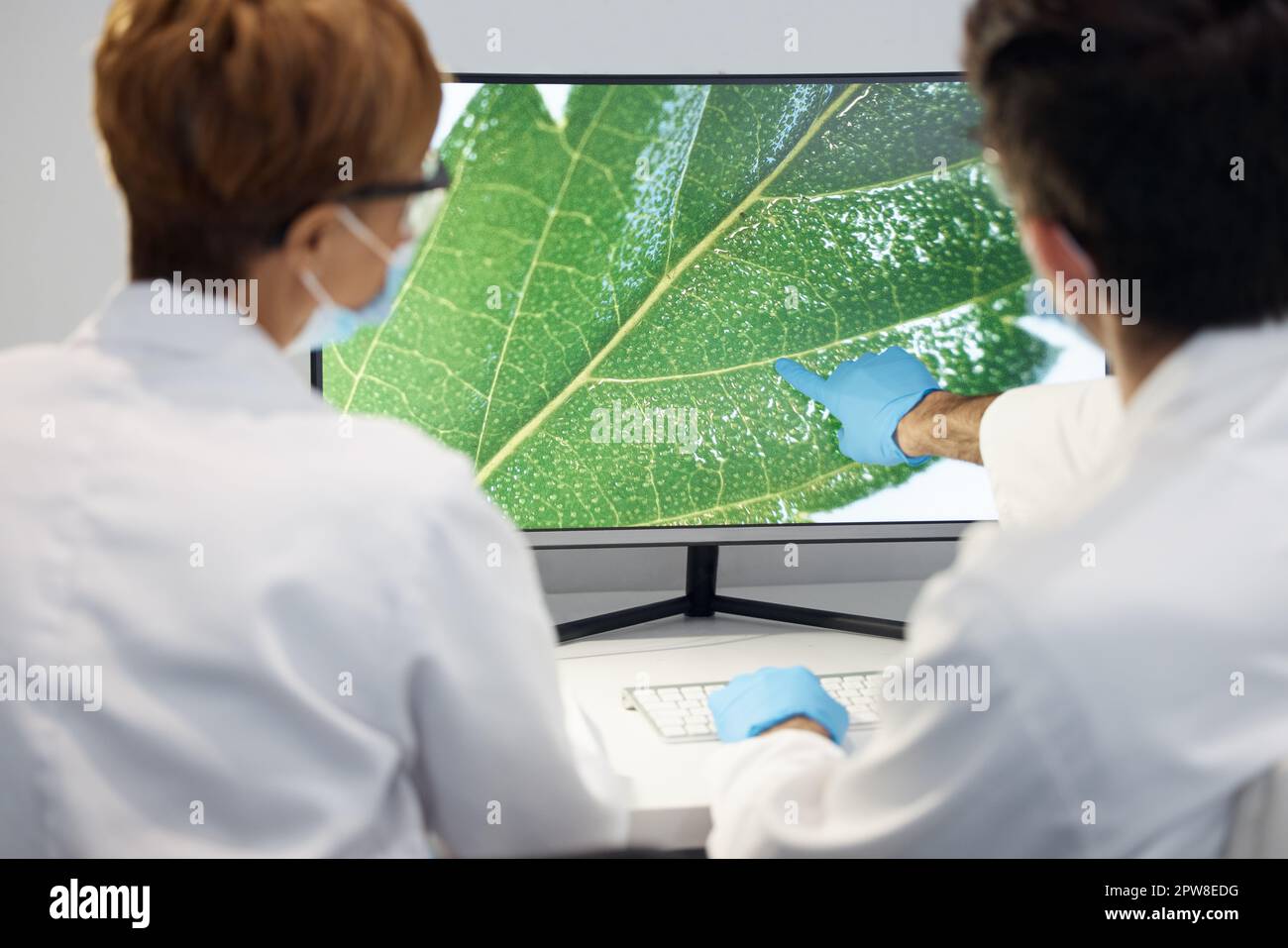 Scientists computer screen data hi-res stock photography and images - Alamy