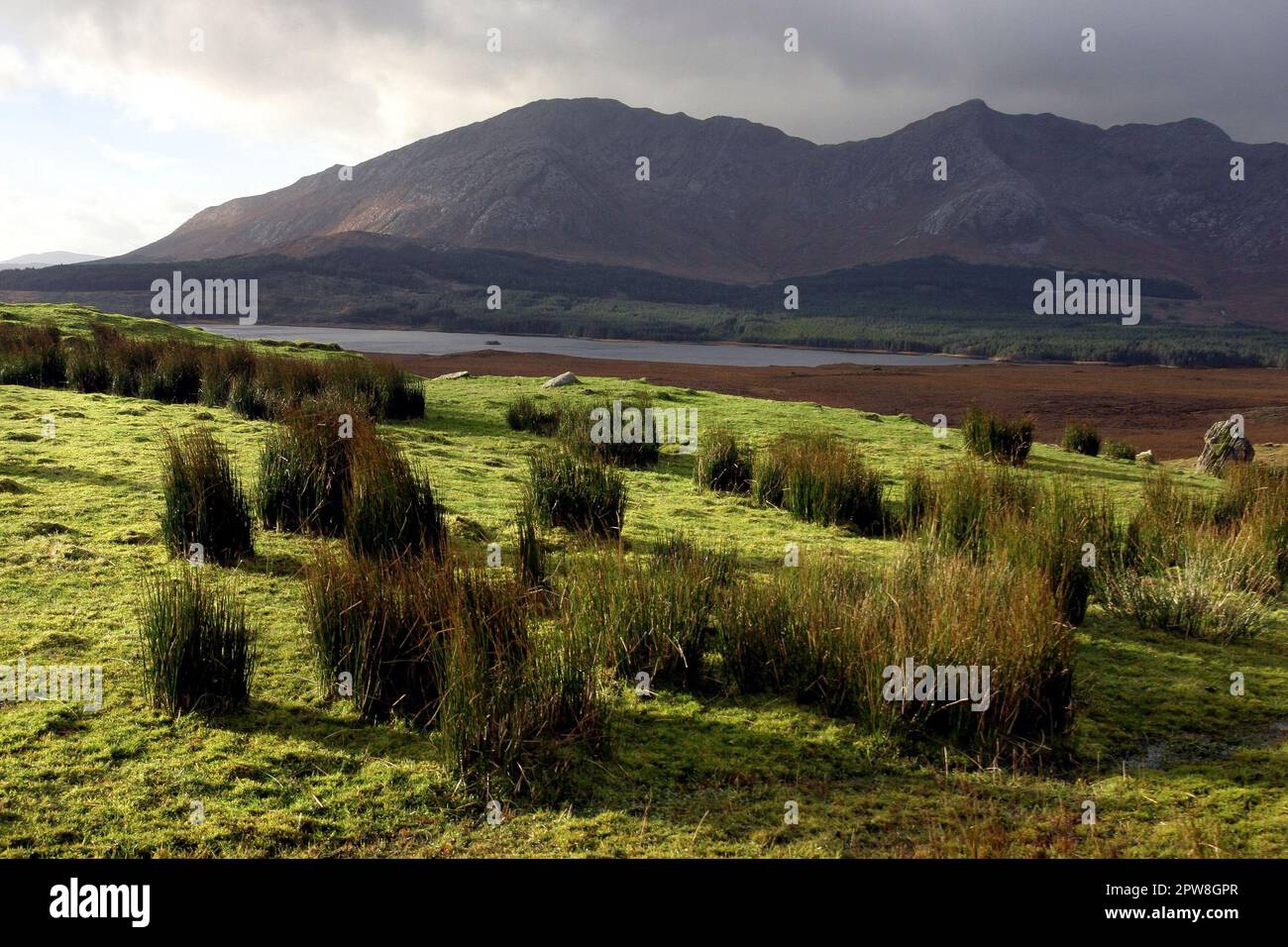 Landscape, Inagh Valley, Connemara, County Galway, Ireland Stock Photo