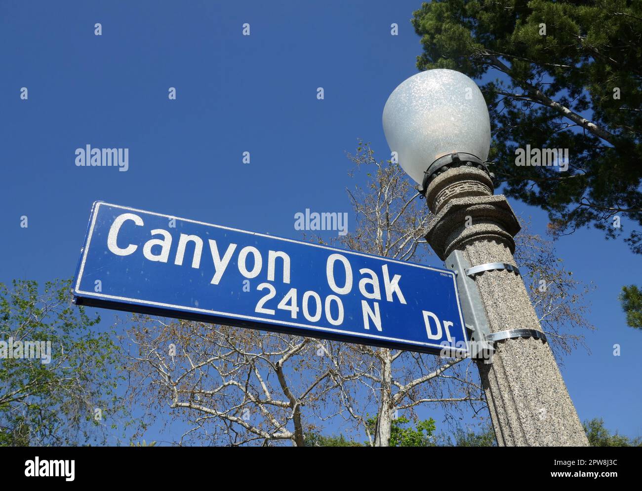 Los Angeles, California, USA 28th April 2023 Canyon Oak Drive in The