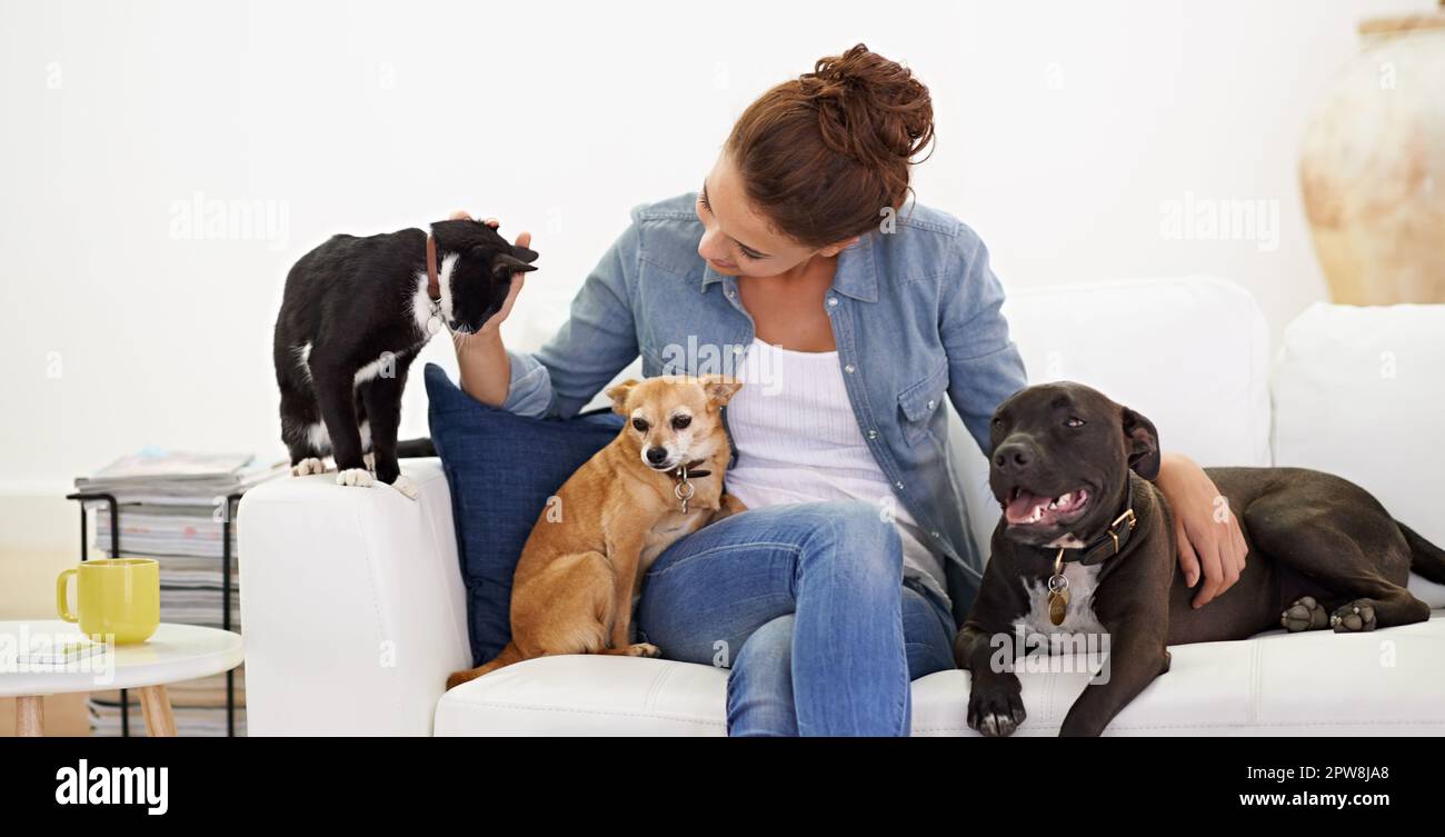 Woman, sofa and happy with pet, cat and dog for care, love and bonding in home living room, playing and together. Girl, animal family and smile on Stock Photo