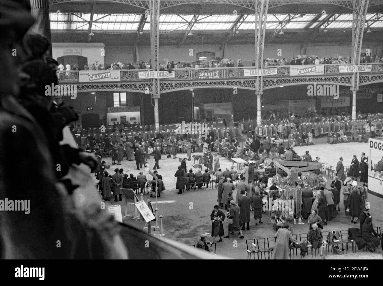 Crufts dog show in main hall at Olympia Exhibition Centre, London, England, UK c. 1950. Crufts is an annual international dog show, first held in 1891. Dogs are being judged (centre left) and banners advertise dog-related goods from companies such as Spratts and Chappie. Organised by The Kennel Club, it is the largest show in the world. It is a championship conformation show for dogs, a large trade show of goods and services, plus competitions. The 1948 show was the first to be held at this venue. This image is from an old amateur 35mm negative – a vintage 1940s/50s photograph. Stock Photo