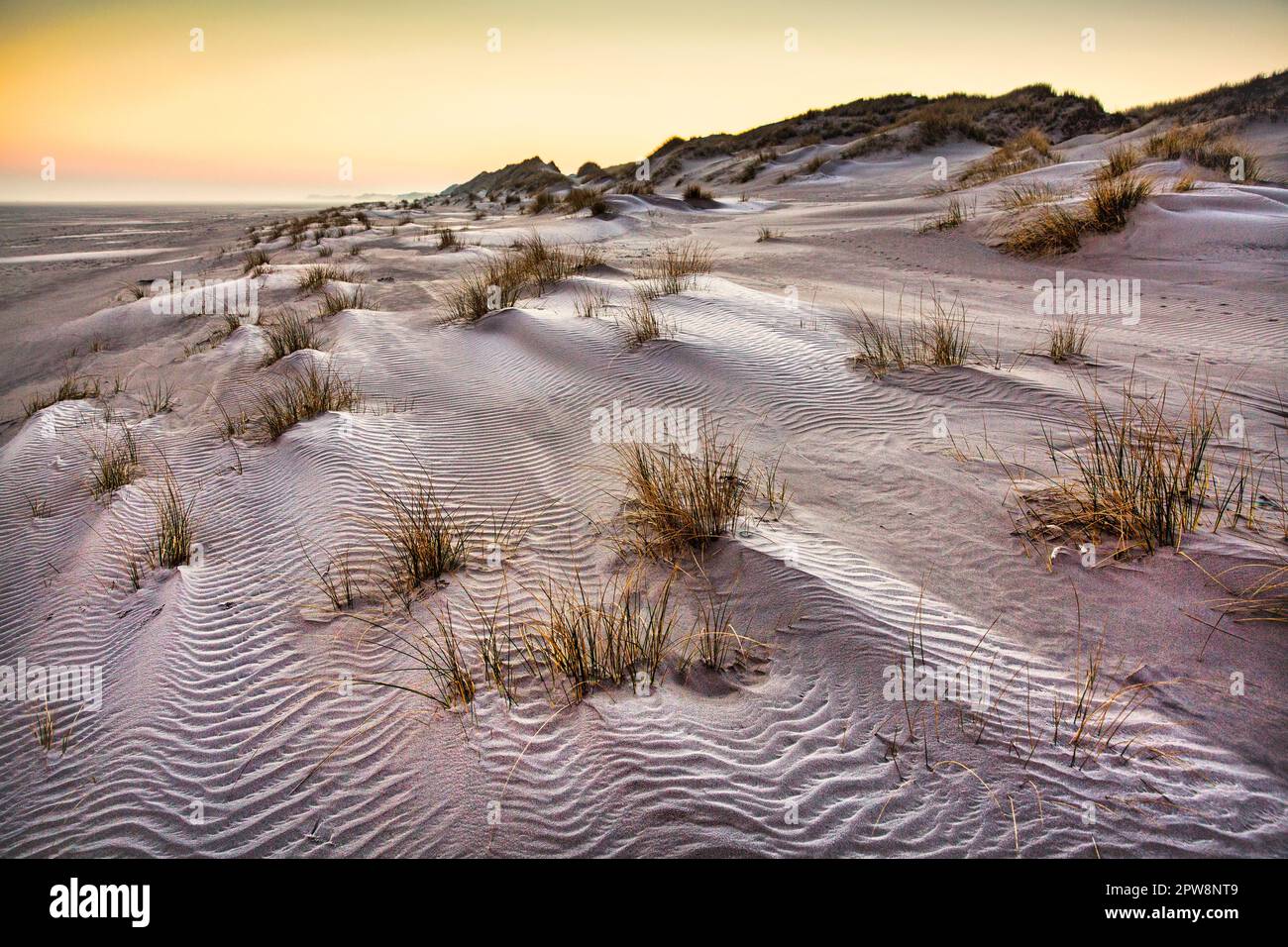 Nature Reserve De Boschplaat Frozen Dunes Near Beach Oosterend Nature Reserve De Boschplaat Frozen Dunes Near Beach Oosterend