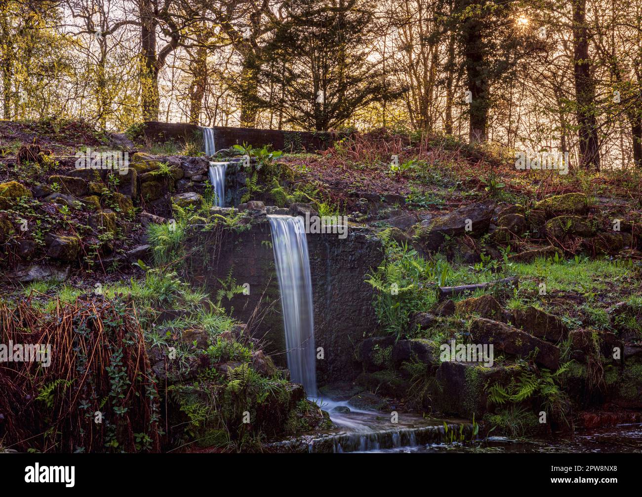 Waterfalls at The Vachery within Ashdown forest on the high weald East Sussex, south east England UK Stock Photo