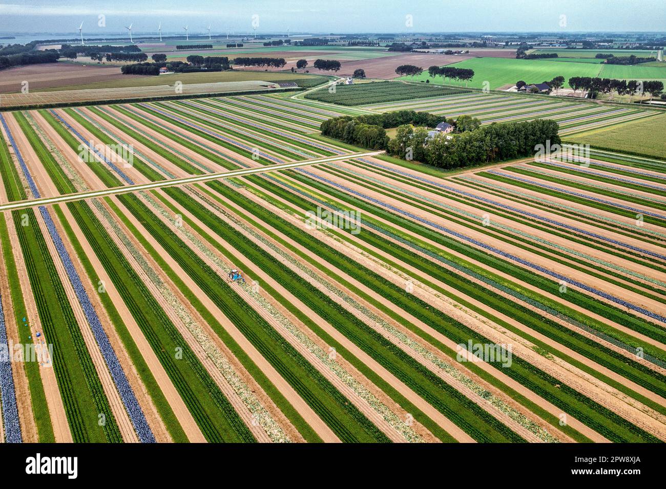 Strip Cropping Diagram