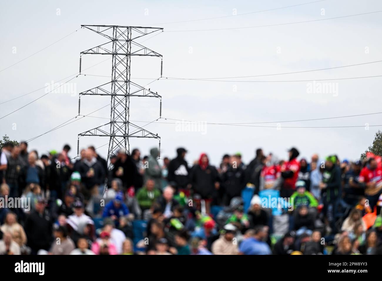 An electricity transmission pole is seen behind crowds at the NRL Round