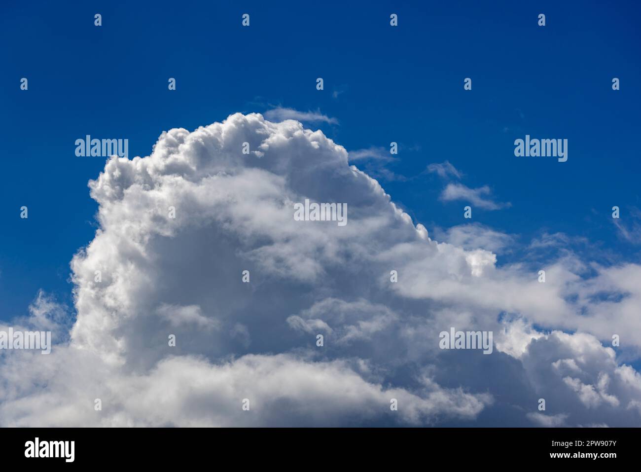 Cumulus cloud against a blue sky Stock Photo