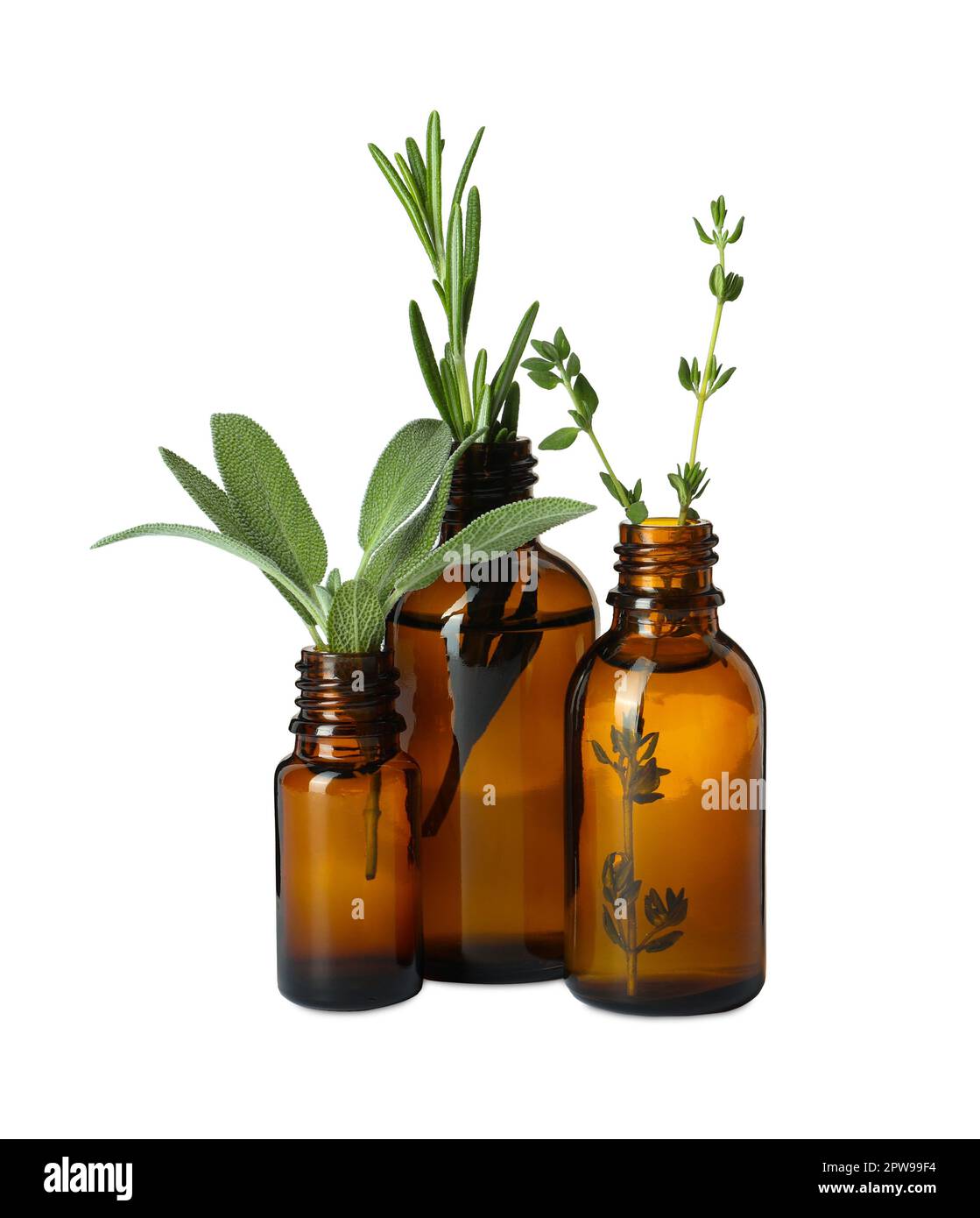 Bottle of essential oil and fresh herbs isolated on white Stock Photo