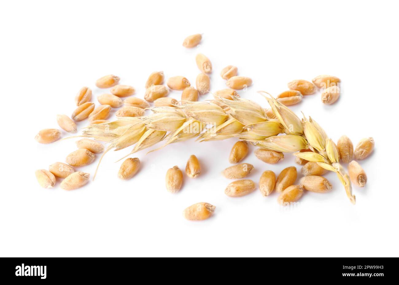 Pile of wheat grains and spike on white background Stock Photo - Alamy