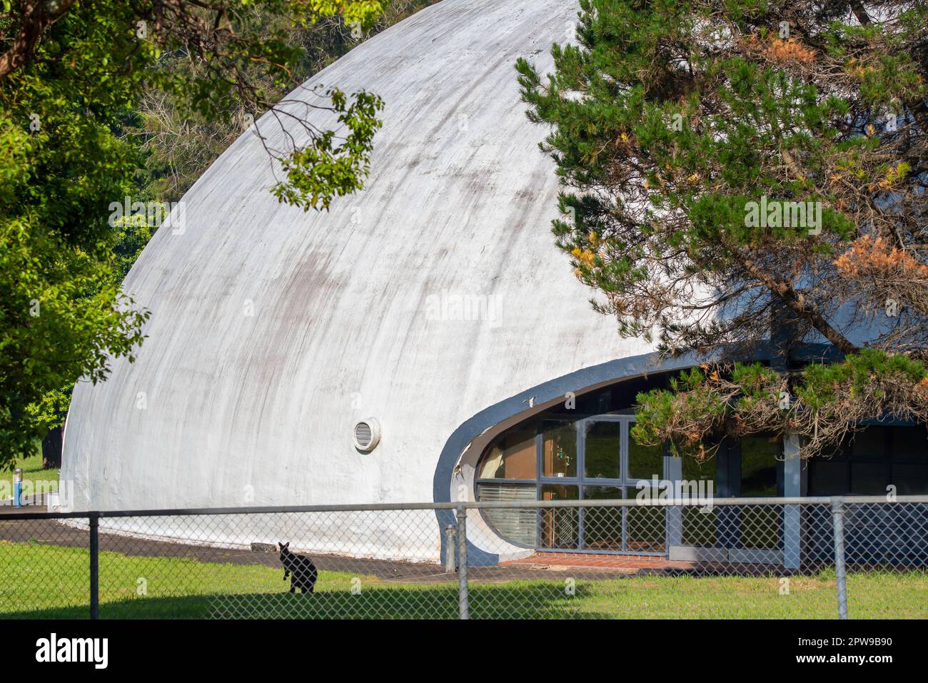 Australian binishells hi-res stock photography and images - Alamy