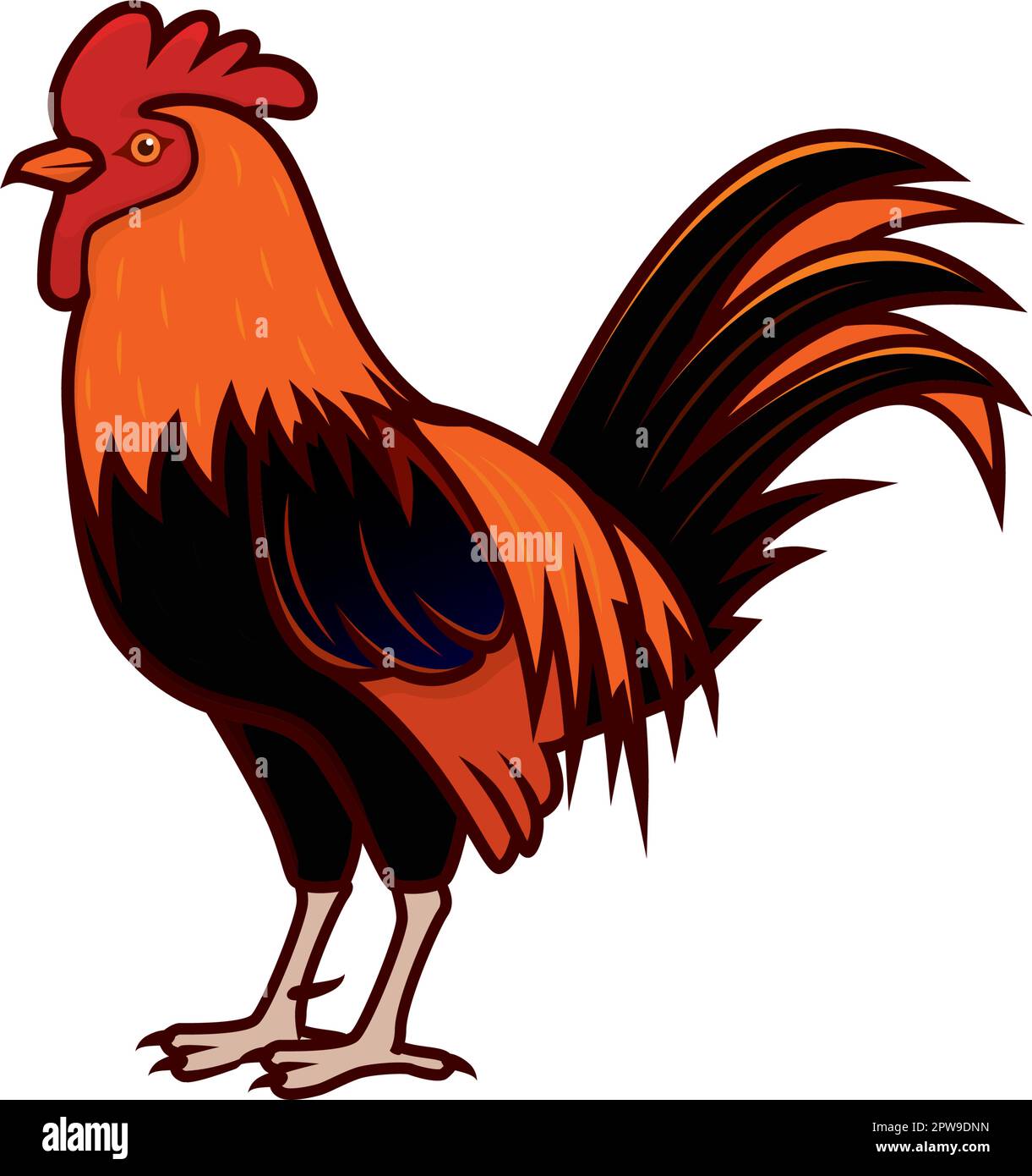 Detailed Rooster and Cock with Standing Gesture Illustration Stock ...