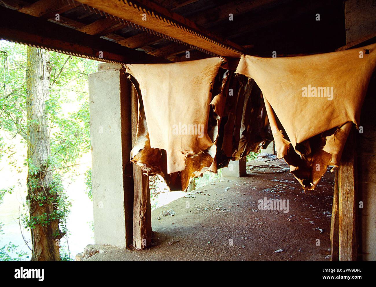 Tanning leather. Covarrubias, Burgos province, Castilla Leon, Spain. Stock Photo