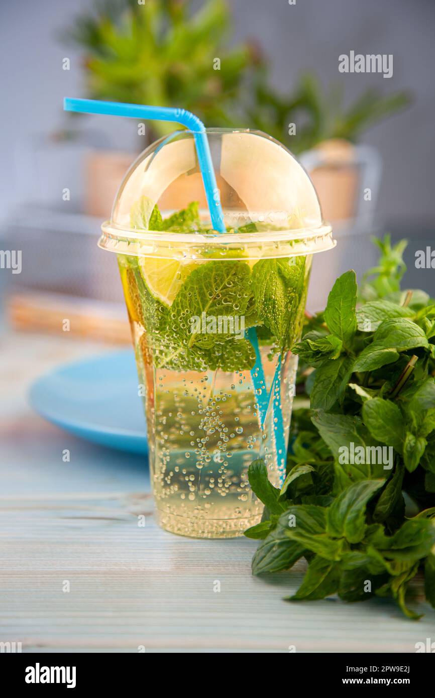 Summer mint lemon refreshing cocktail mojito with ice in plastic glass