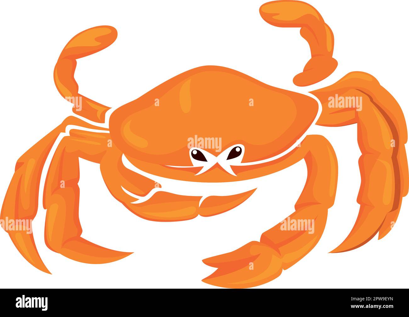 Detailed Bright Crab Illustration Stock Vector