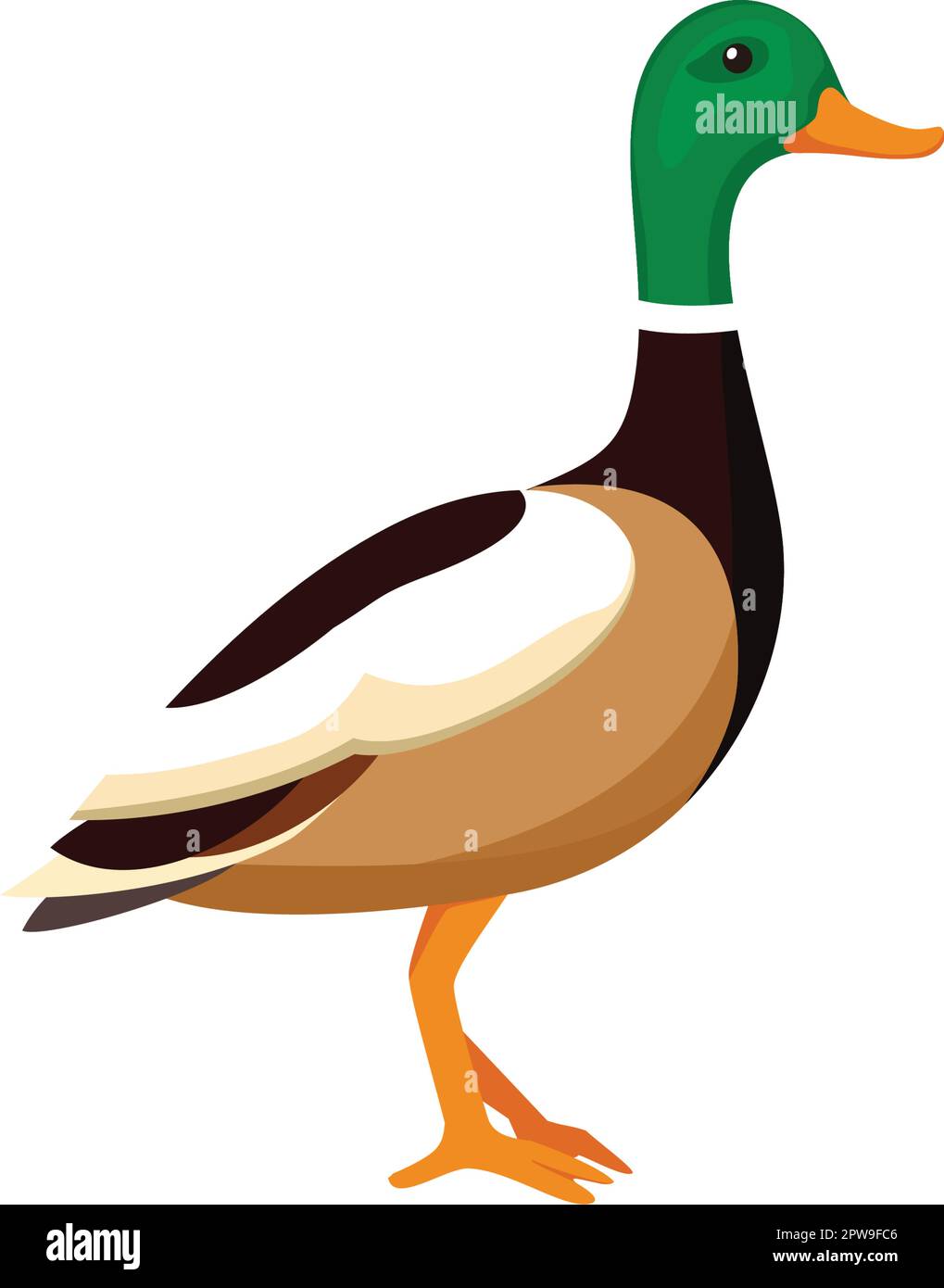 Standing Whistling Duck Illustration Stock Vector Image & Art Alamy