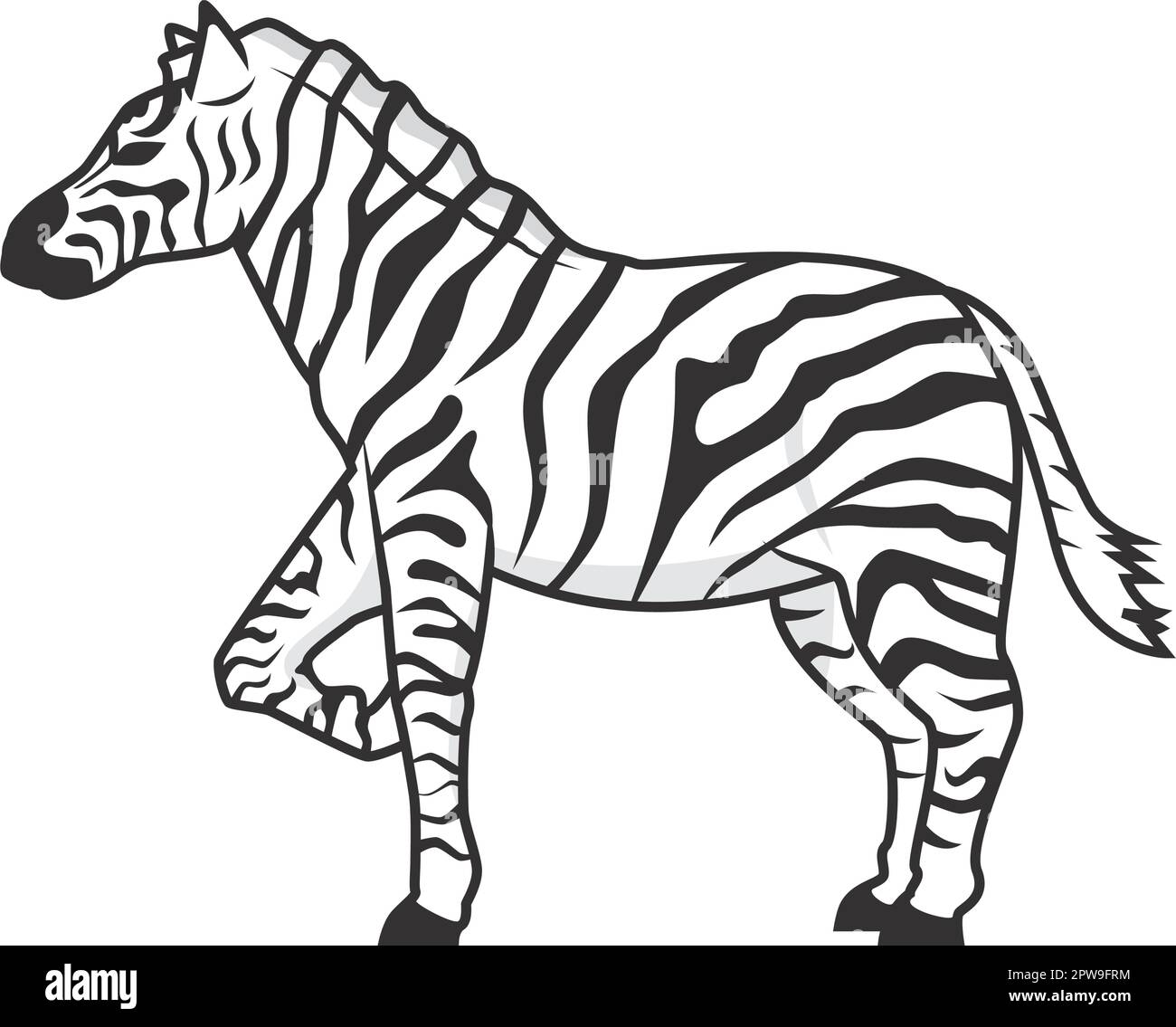 Striped horse Cut Out Stock Images & Pictures Alamy