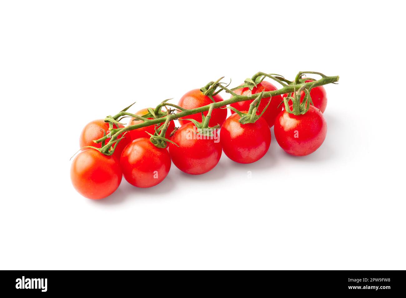 Ripe organic cherry tomatoes on a branch, isolated on white background. Stock Photo