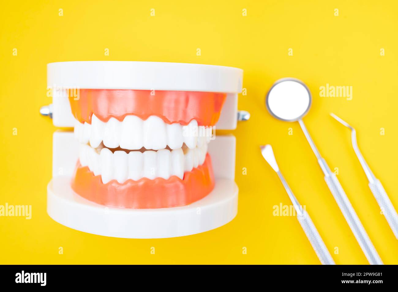 Dentures model and instrument dental on yellow background Stock Photo