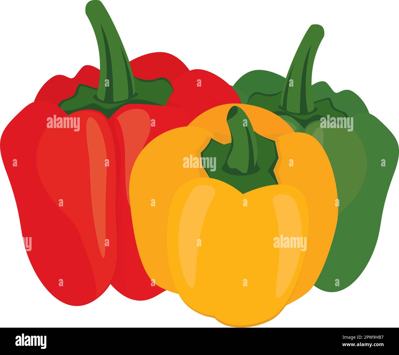 Detailed Red, Yellow and Green Paprikas Illustration Stock Vector Image