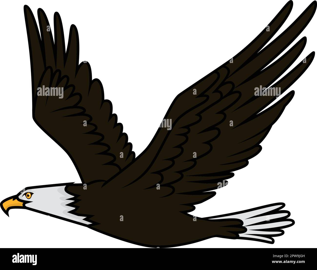 Detailed Flying Eagle Illustration Stock Vector Image & Art - Alamy