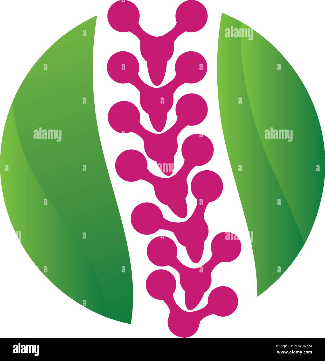Chiropractic Wellness Centre And Spine Care Symbol Stock Vector Image chiropractic-wellness-centre-and-spine-care-symbol-stock-vector-image