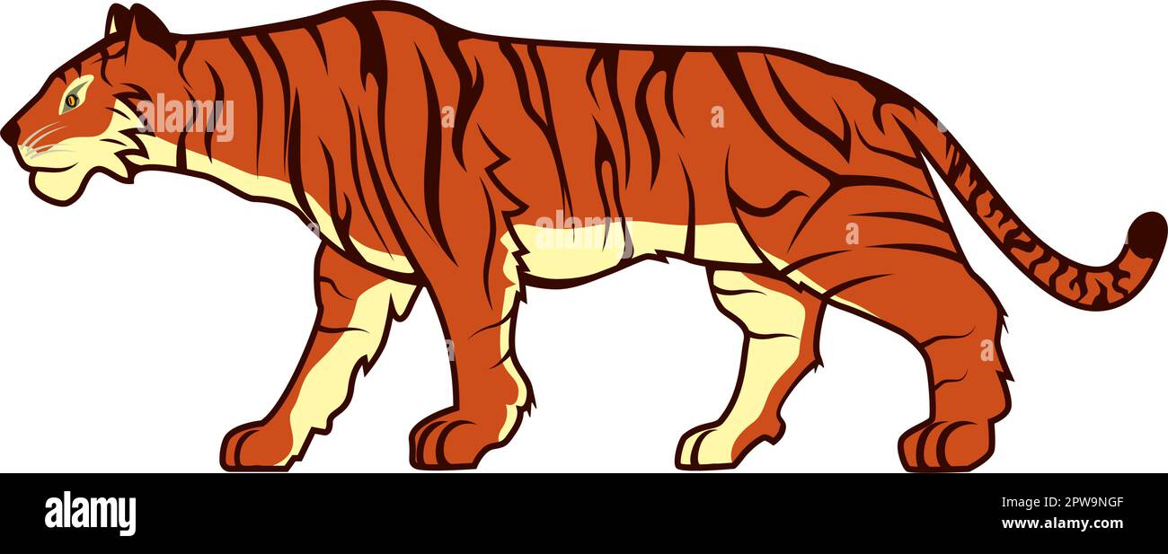 Bengal tiger on a transparent background. by ZOOSTOCK on DeviantArt