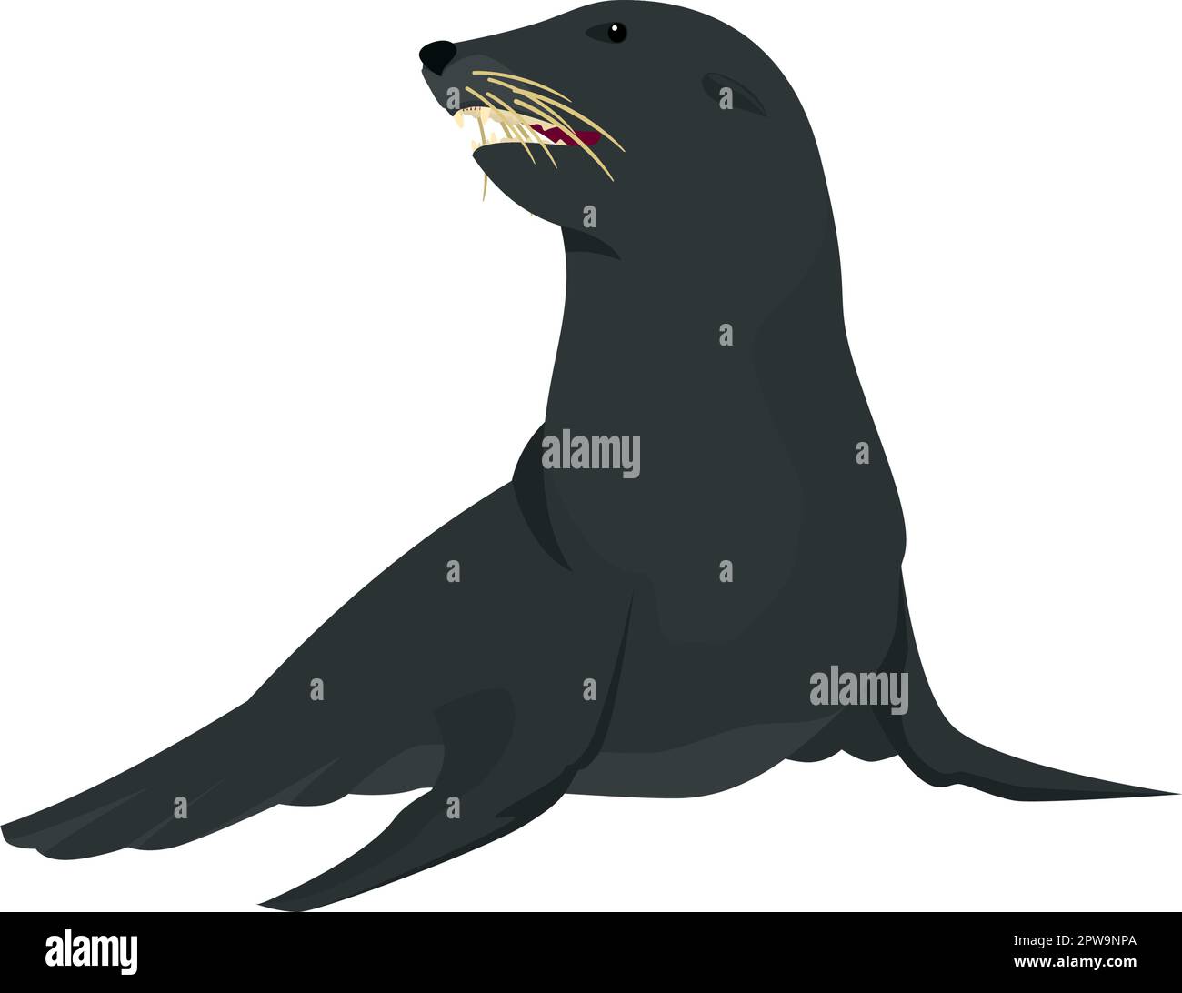 Detailed Sitting Sea Lion Illustration Stock Vector Image & Art - Alamy