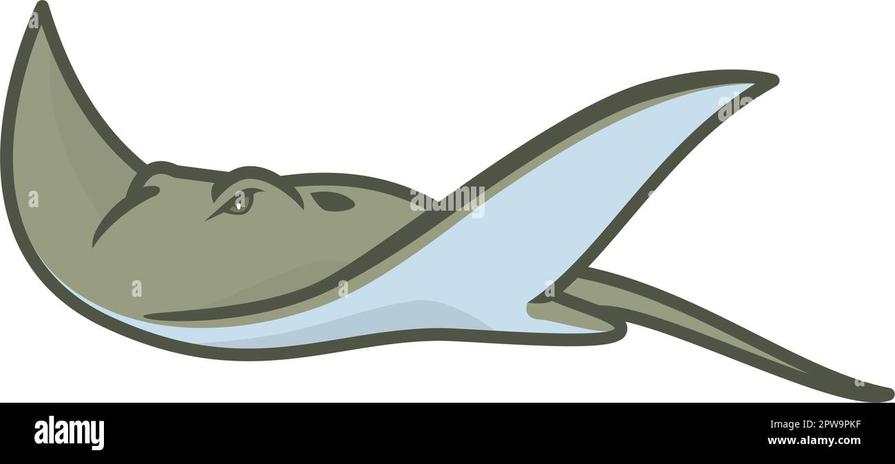Detailed Swimming Ray Fish or Stingray Illustration Stock Vector