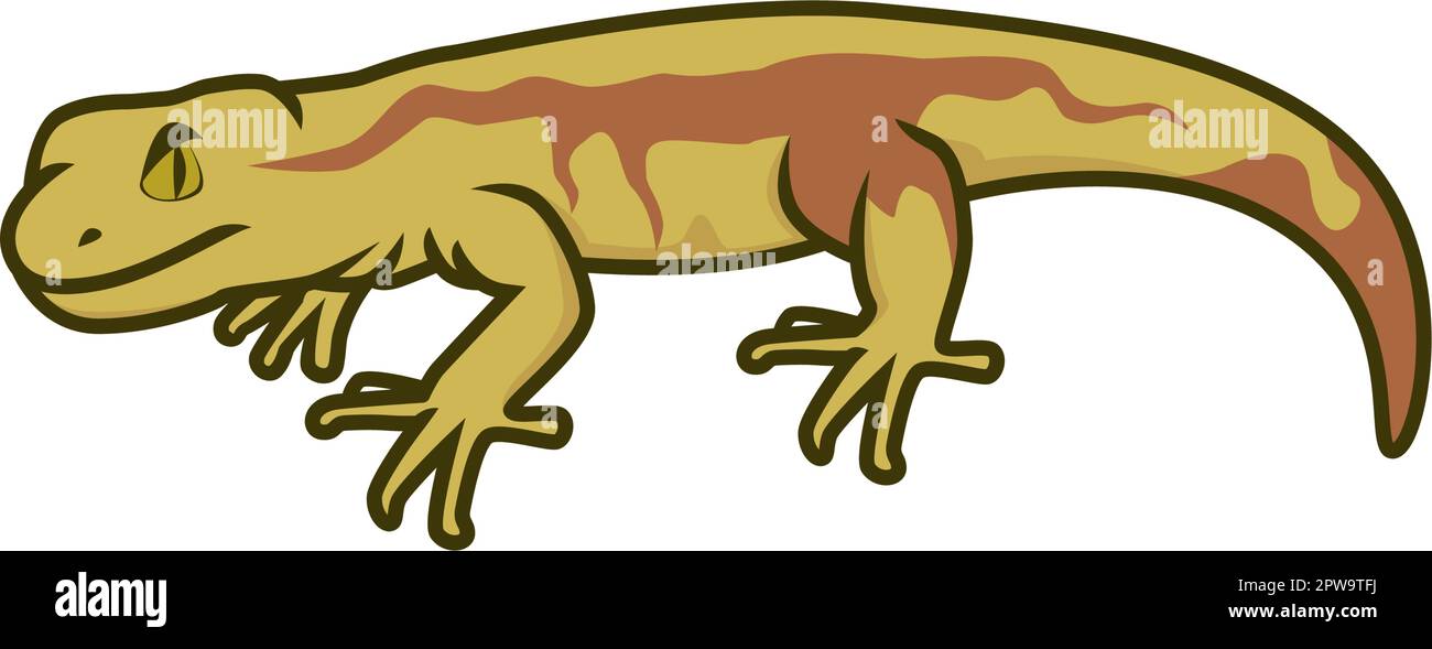 Simple Gecko Calmly Gazing Illustration Stock Vector
