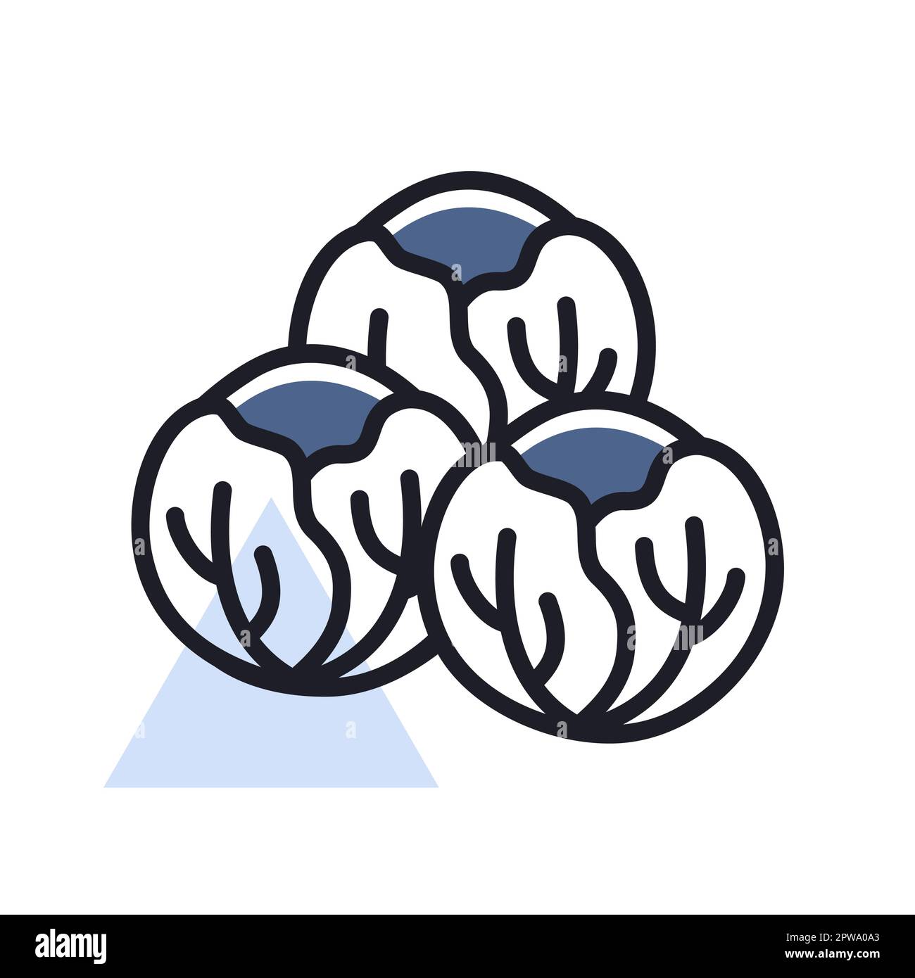 Vegetable sprouts Stock Vector Images Alamy