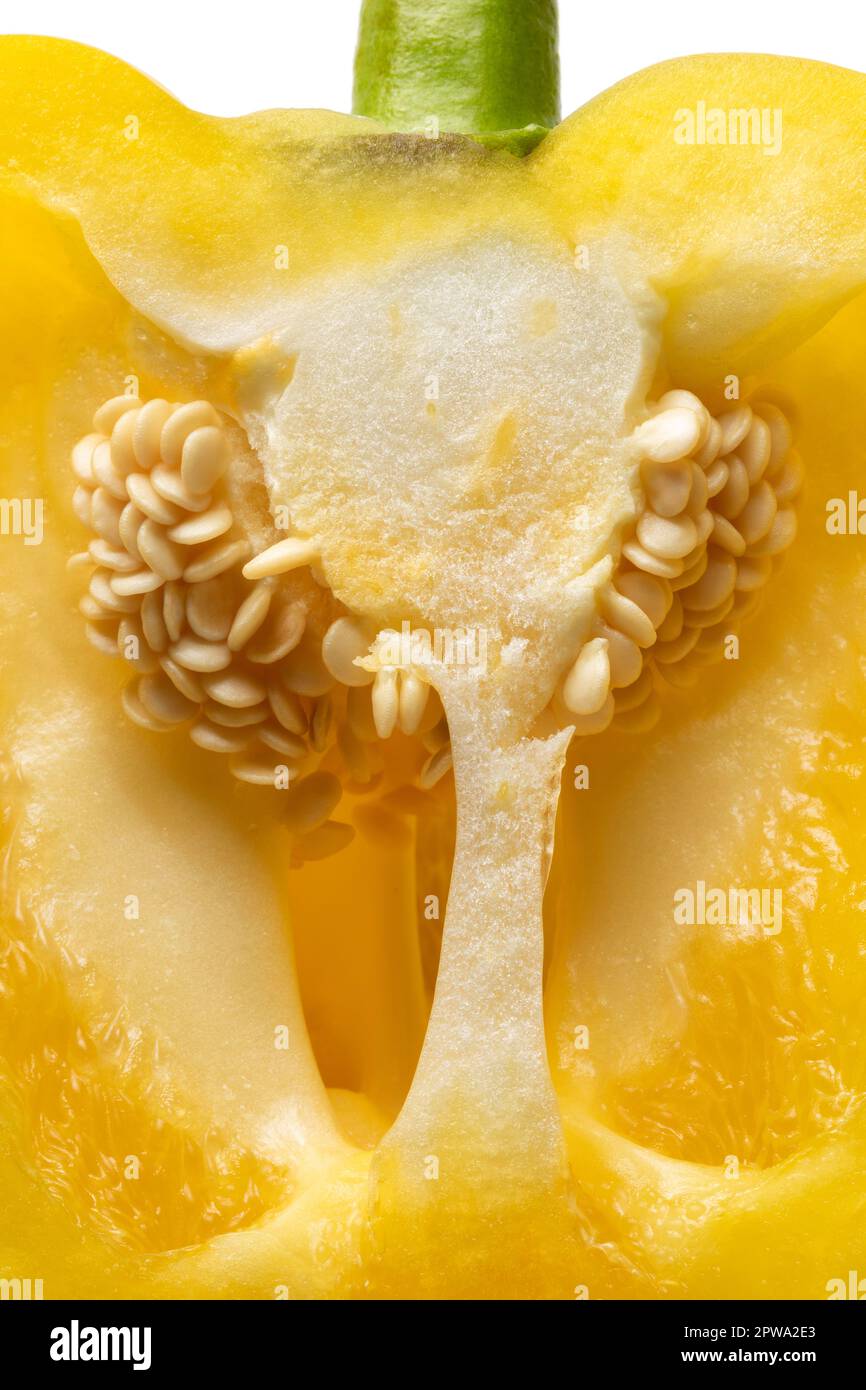 Seeds in a fresh yellow bell pepper inside close up Stock Photo