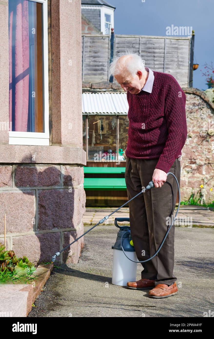 Weed killer spray using pump action bottle in garden Stock