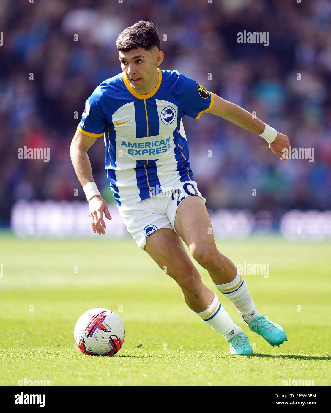 Brighton and Hove Albion's Julio Enciso during the Premier League match ...