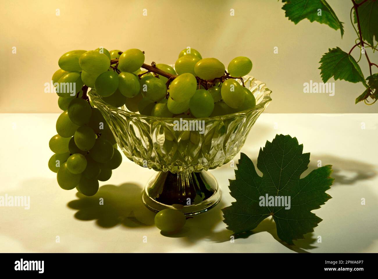 https://c8.alamy.com/comp/2PWA6P7/a-bunch-of-white-grapes-in-a-glass-bowl-with-a-silver-base-a-grape-vine-and-leaf-serve-as-decoration-2PWA6P7.jpg
