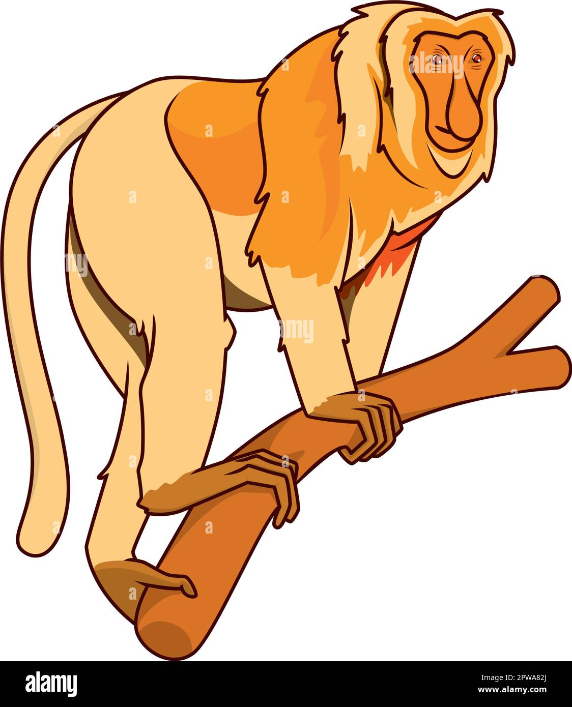 Detailed Proboscis Monkey with Calm Looking Gesture Illustration Stock Vector