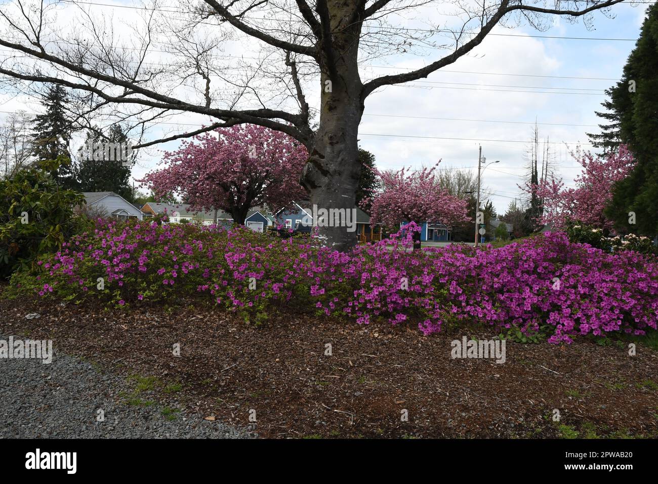 BbUCKELY/WASHINGTON/USA  21.April 2019/ Historical old building and museuem  and  dilvery pot in Buckey city of washington U.S.A .(Photo..Francis Joseph Dean/Dean Pictures) Stock Photo