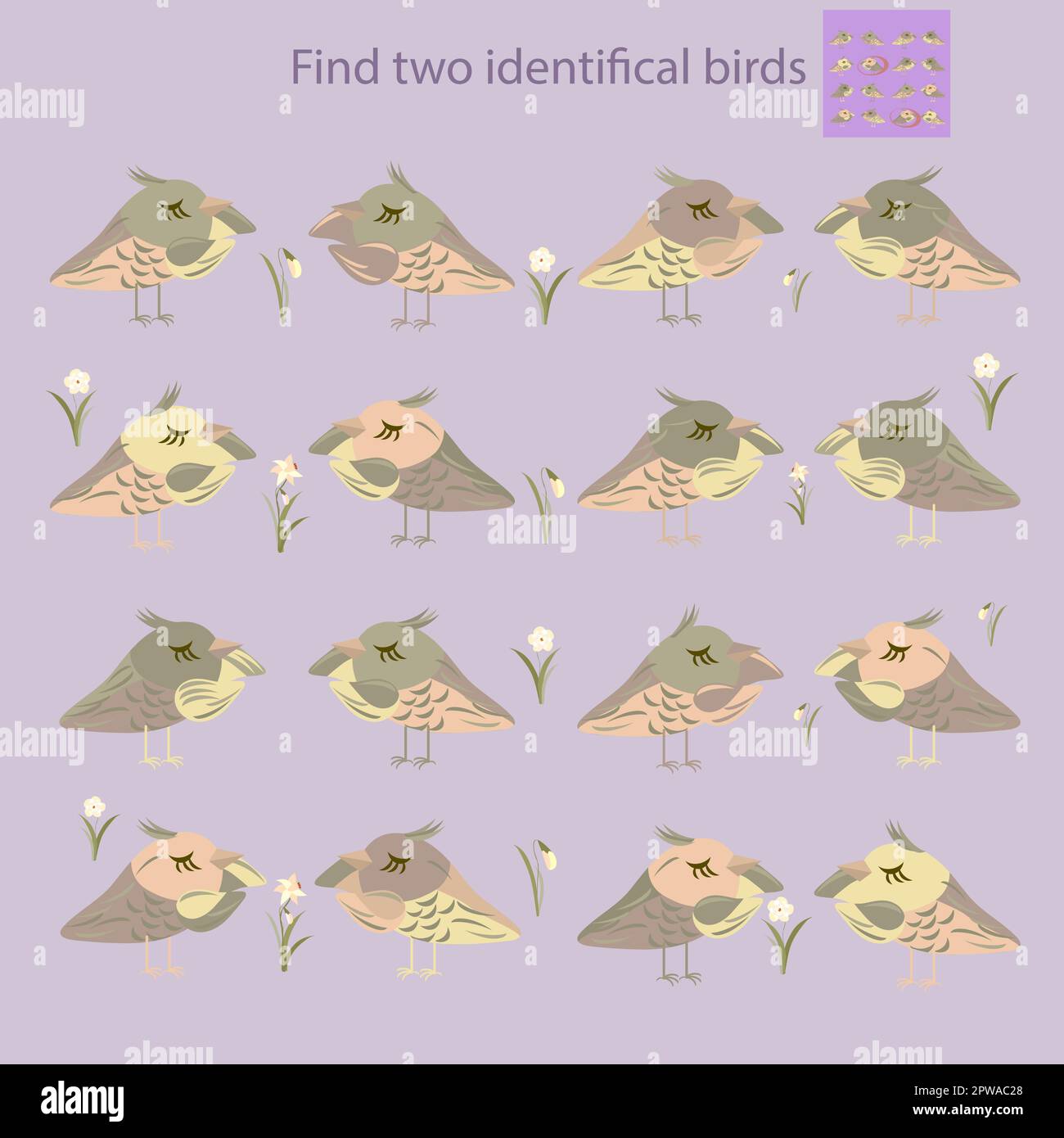 find two identical birds Stock Vector Image & Art - Alamy