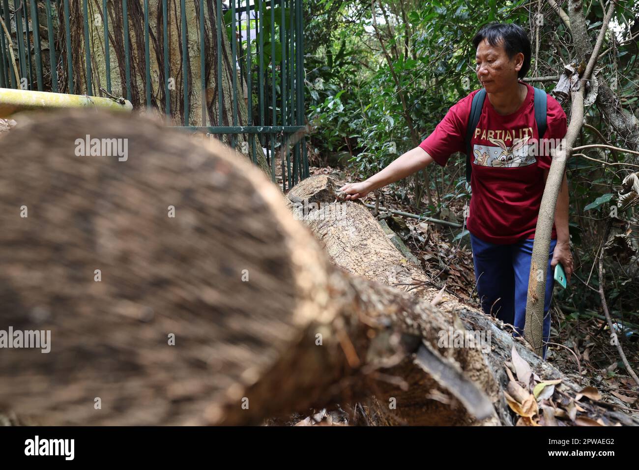 Ho Puihan, executive director of the Association for the Ecological
