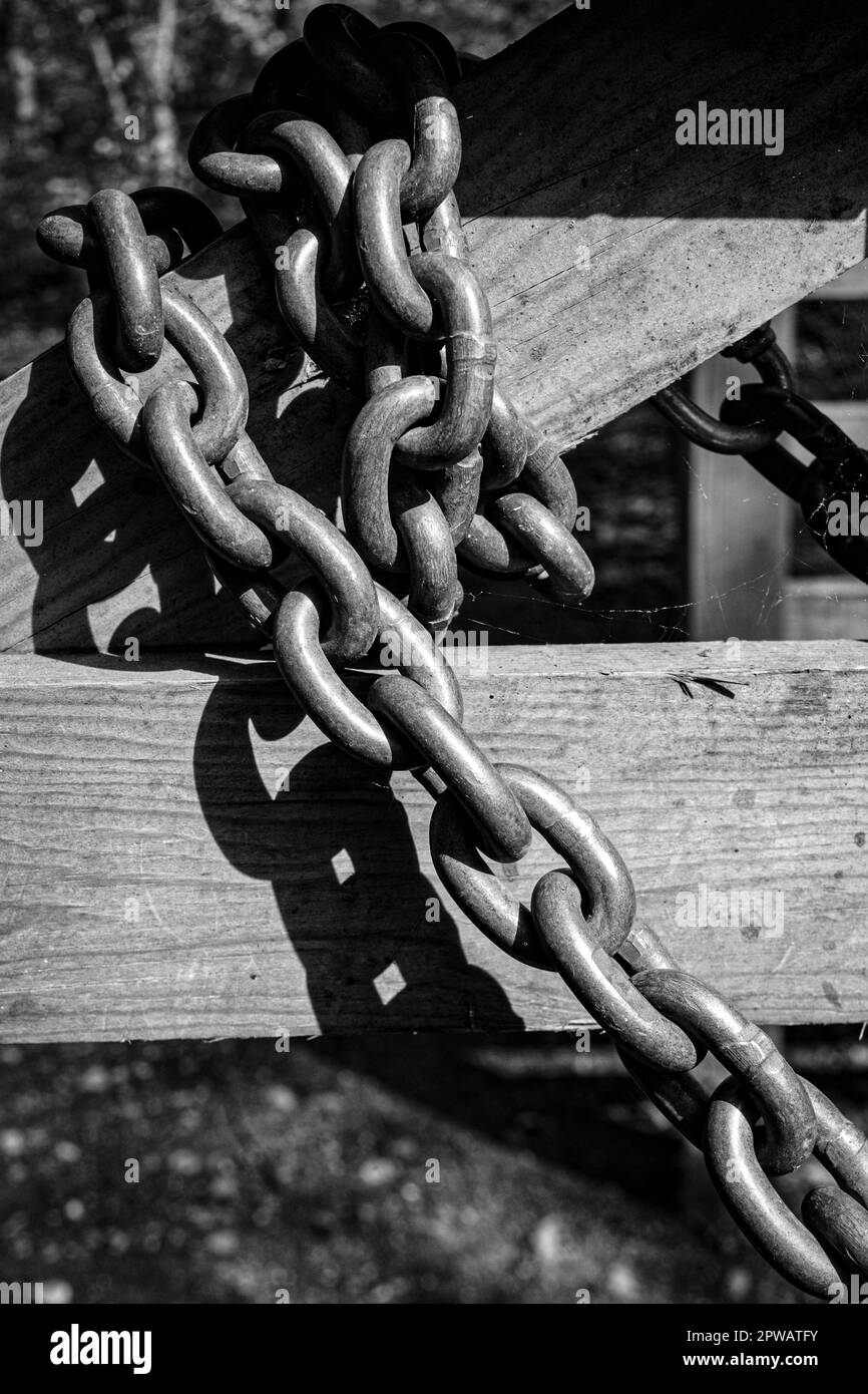 Large metal chain wrapped around a wooden gate. Concept strength, security, bound, wrapped-up, safe, locked-up, chained-up Stock Photo