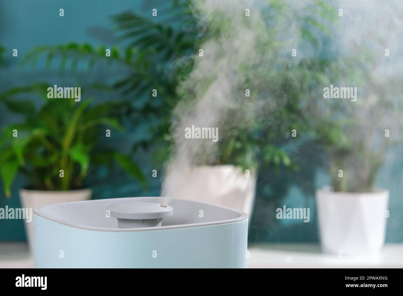 Steam from humidifier, moistens dry air surrounded by indoor houseplants.  Home garden, plant care Stock Photo - Alamy