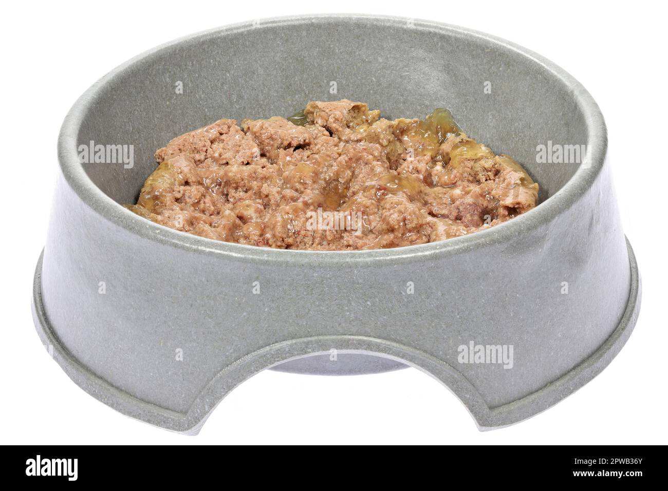 dog food in feeding bowl isolated on white background Stock Photo