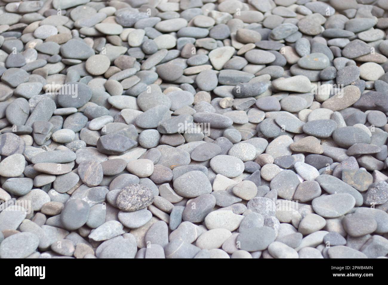Small stones texture background, white background pebbles, simplicity. Stock Photo