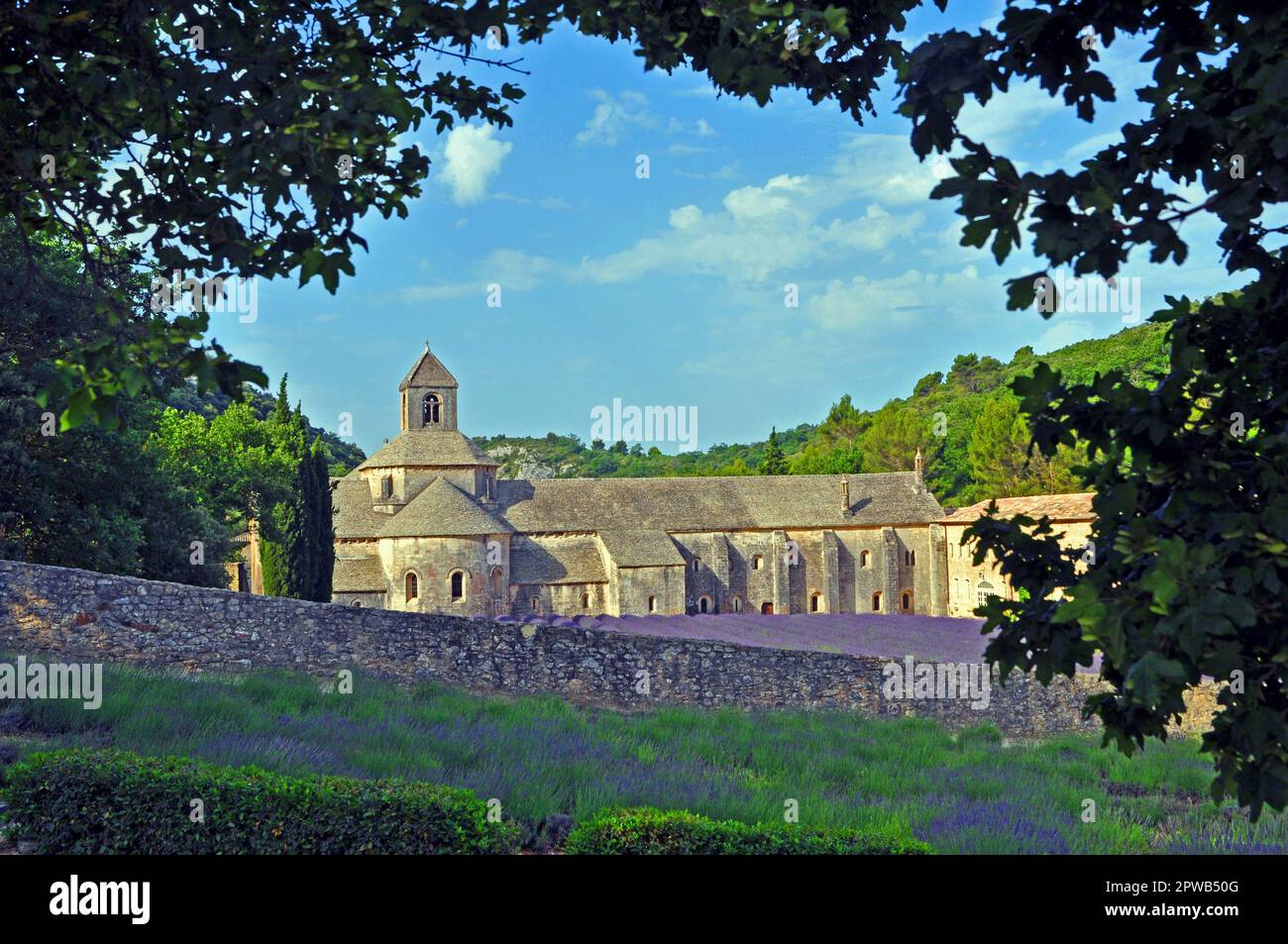 The Cistercian abbey of Senanque in Gordes is one of the 3 sisters of