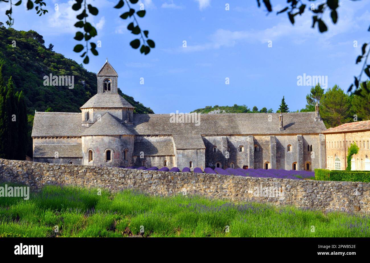 The Cistercian abbey of Senanque in Gordes is one of the 3 sisters of