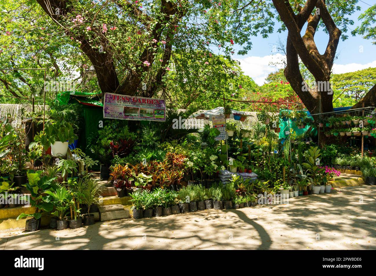 A garden centre at The Quezon Memorial Circle, Manila, The Philippines Stock Photo Alamy