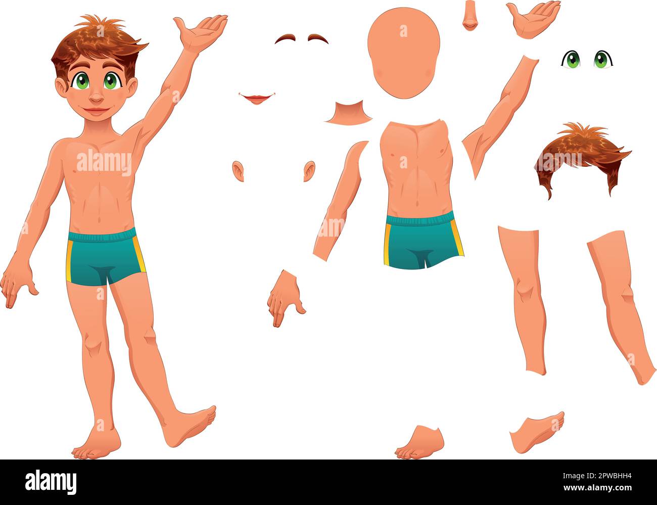 Parts of body. Cartoon and vector separated elements Stock Vector Image ...