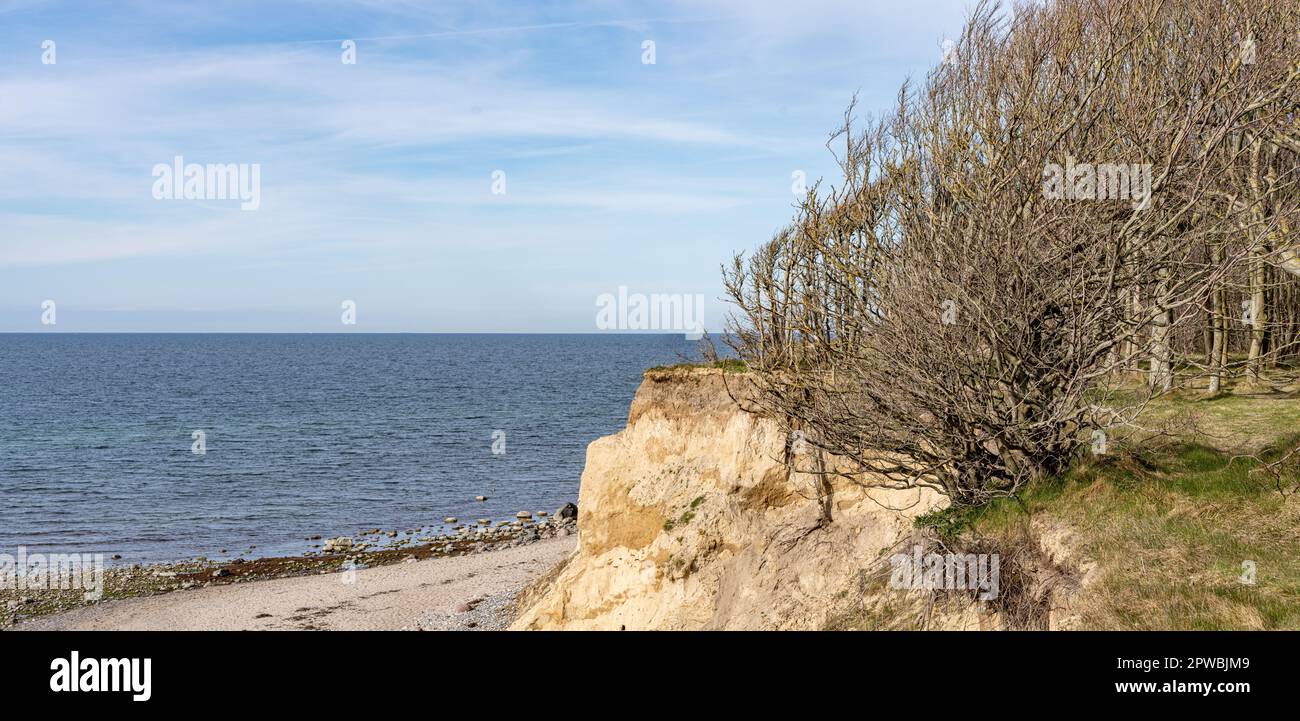 Erosion, sand and land erosion on the Baltic Sea beaches of Rügen and Usedom Stock Photo