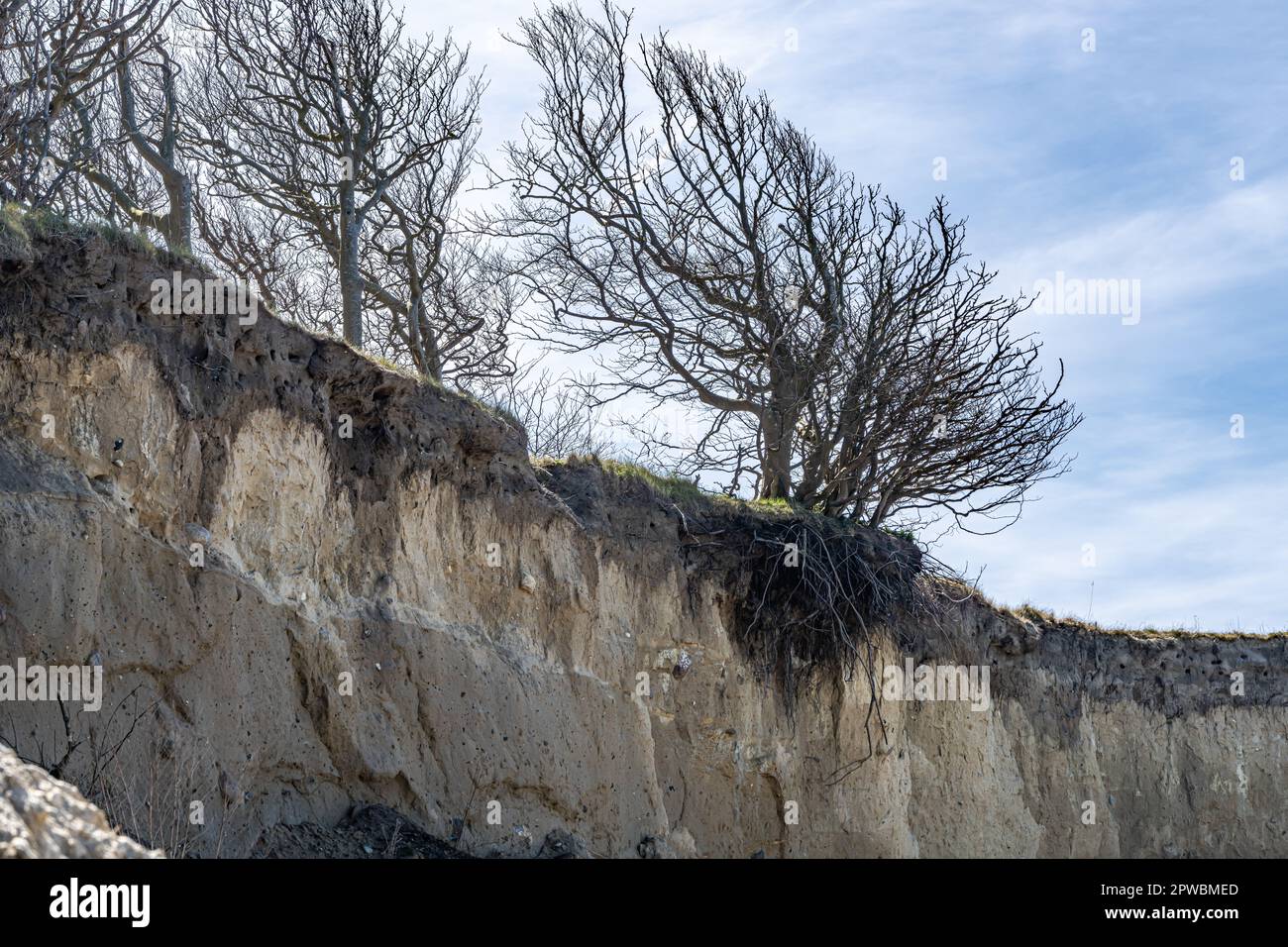 Erosion, sand and land erosion on the Baltic Sea beaches of Rügen and Usedom Stock Photo