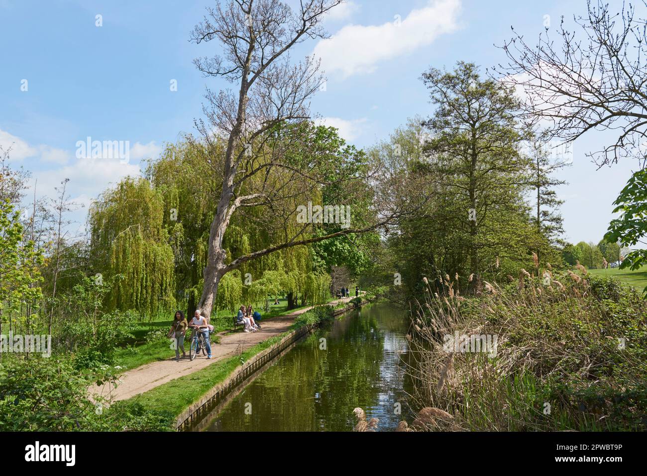 Footpath along the New River in springtime, on the edge of Enfield Town Park, Enfield, Greater London UK Stock Photo